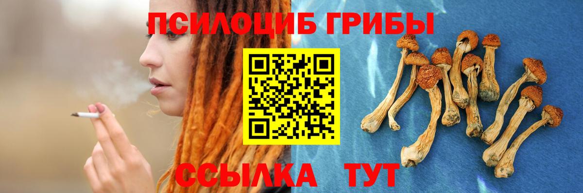 Псилоцибиновые грибы прущие грибы  Вход с VPN  Вятские Поляны 